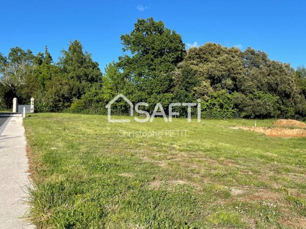 MAGNIFIQUE BAISSE DE PRIX