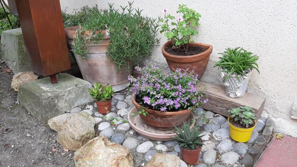 Jouy-en-Josas (78350) Maison centre ville