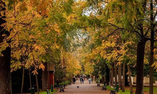 Appartement  en vente - Le Busca