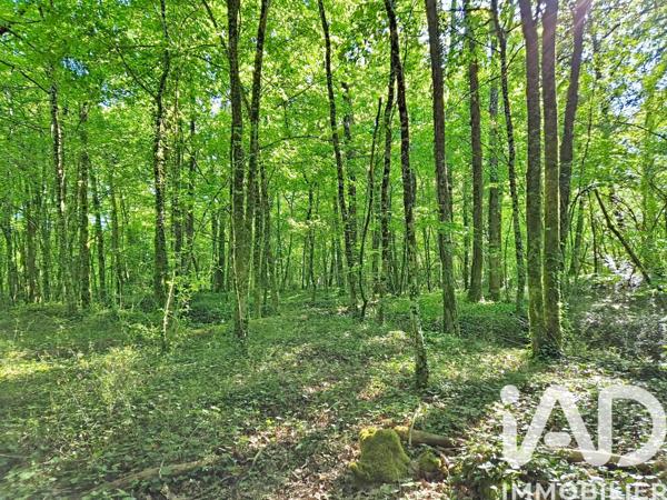 Maison à vendre 5 pièces 120 m² Luynes