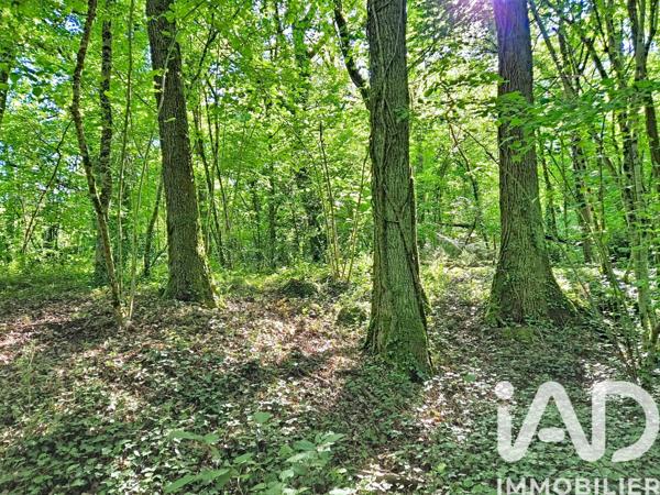 Maison à vendre 5 pièces 120 m² Luynes