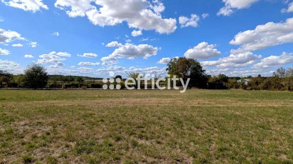 Terrain
        
        - 6590 m² Exclusivité 86 000 € *