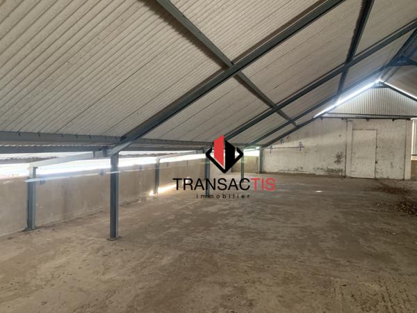 Surface de stockage 300m² Cayenne