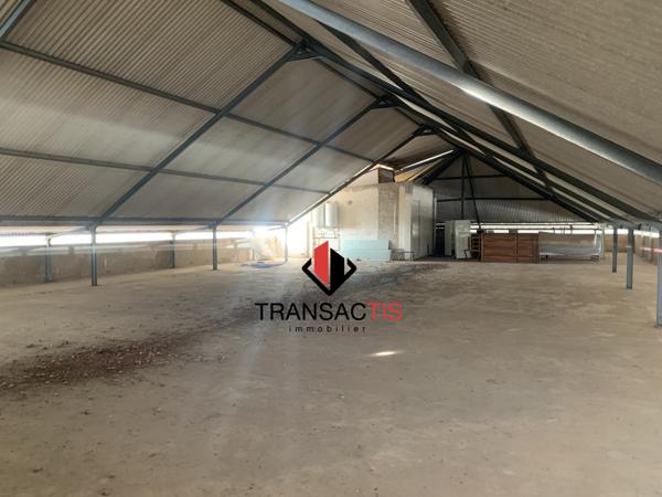 Surface de stockage 300m² Cayenne
