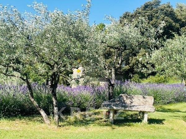 Propriété de charme du 19eme sur 5 hectares de terrain