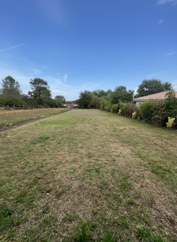 Local commercial  Entrepôt 800 m² sur terrain de 2 500 m²