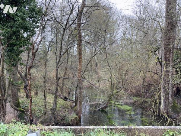 LA PLAINE D ARGENSON, Prissé la Charrière, parcelle de bois