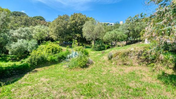 Propriété Bastia - Cardo maison 165 m2 avec terrain de 4500 m2 vue mer et piscine