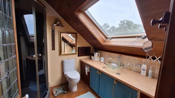 Maison en pierre pleine de charme avec cour, jardin et dépendances