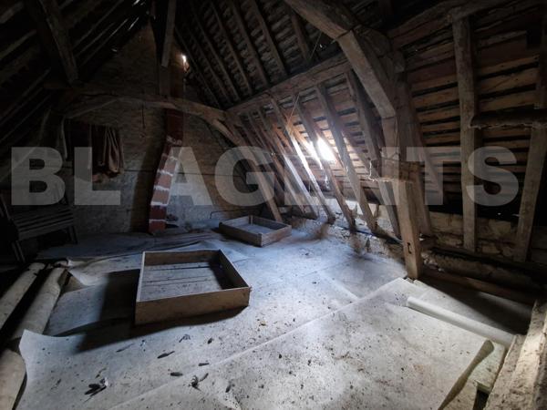 Maison 344 m² avec dépendances et jardin - Fort potentiel