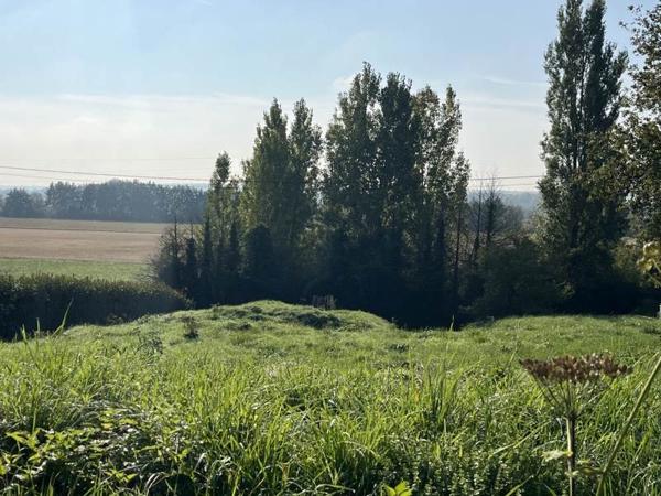 Terrain à vendre |  Chouzy-sur-Cisse |  1232 m²