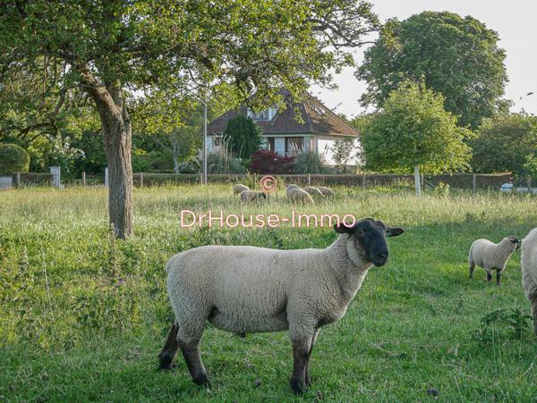 Maison à vendre 10 pièces de 195 m²