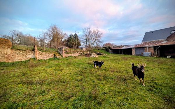 Terrain à vendre    Crécy-sur-Serre