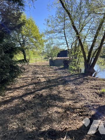 Bord de Loir