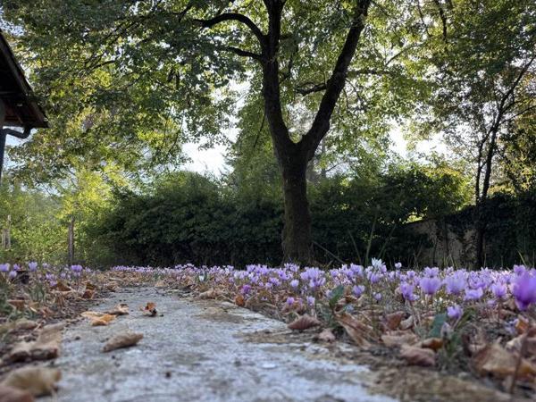 Maison à vendre 182 000 € Auch 3 p 75 m² DPE F