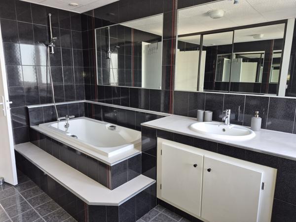 Colocation en appartement triplex T5 à louer – Terrasse et vue sur la Vienne