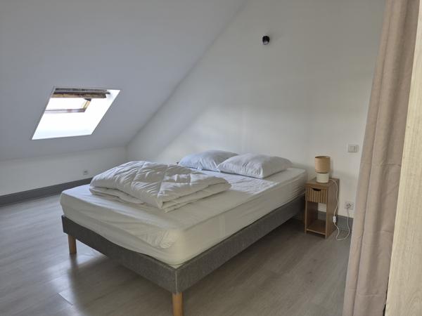 Colocation en appartement triplex T5 à louer – Terrasse et vue sur la Vienne