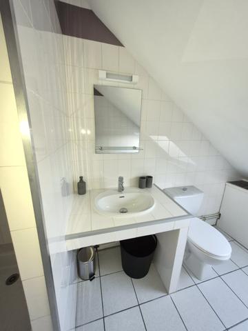 Colocation en appartement triplex T5 à louer – Terrasse et vue sur la Vienne