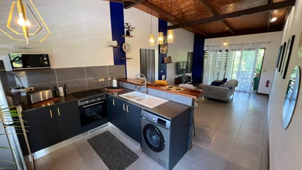 Splendide appartement T2 vue mer et massif du Rorota à Rémire Montjoly vendu entièrement meublé et décoré