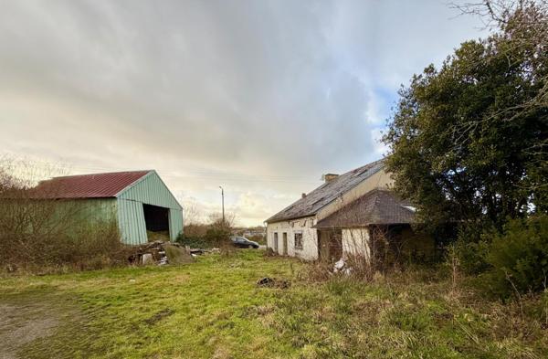 Maison de 200 m² environ avec hangar et terrain de 11 260 m².