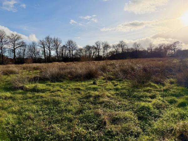 Maison de 200 m² environ avec hangar et terrain de 11 260 m².