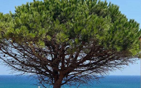 Appartement à vendre    3 pièces •  Fleury