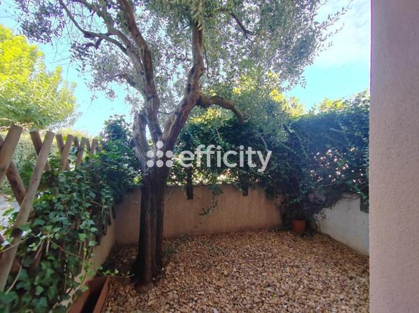 Appartement 2 pièces - 48 m² Exclusivité efficity