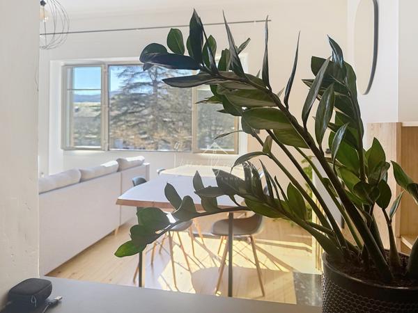 Saint-Affrique (12400) Superbe duplex T3 lumineux avec vue dégagée