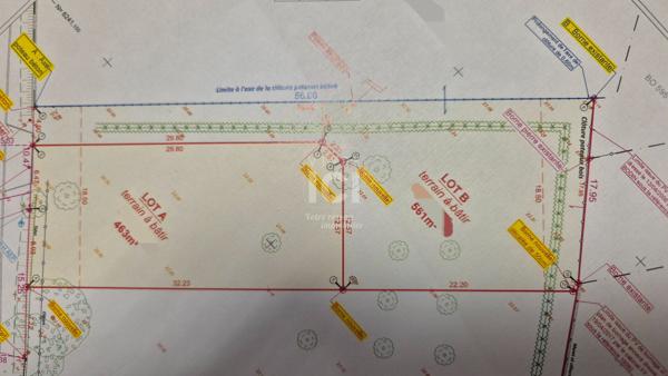 Opportunité rare à saisir - Terrain Sautron 1 270 m2