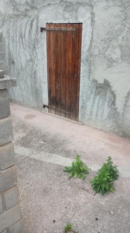 Yenne (73170) MAISON EN 2 LOGEMENTS AVEC COUR