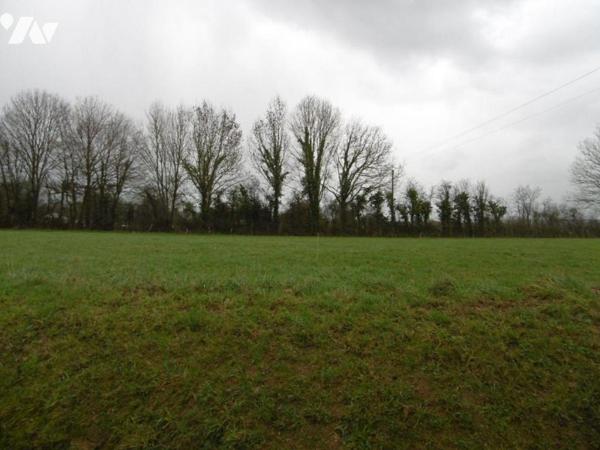 Vente Terrain à bâtir au Tourneur