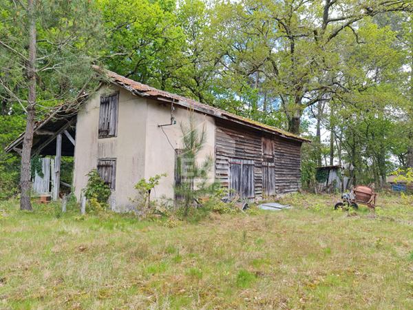 Maison Bourgeoise de 240 m² à 20 min. de l'océan !