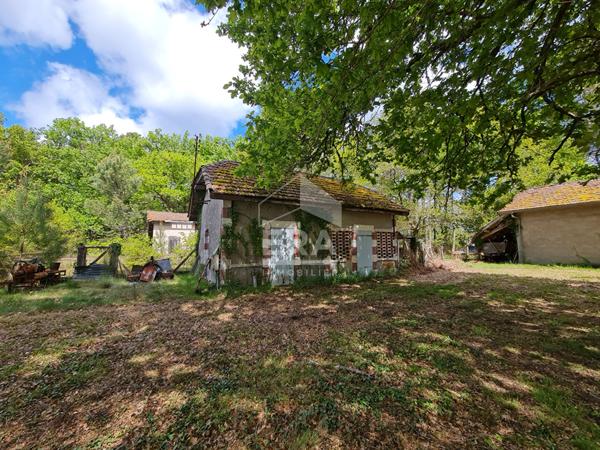Maison Bourgeoise de 240 m² à 20 min. de l'océan !