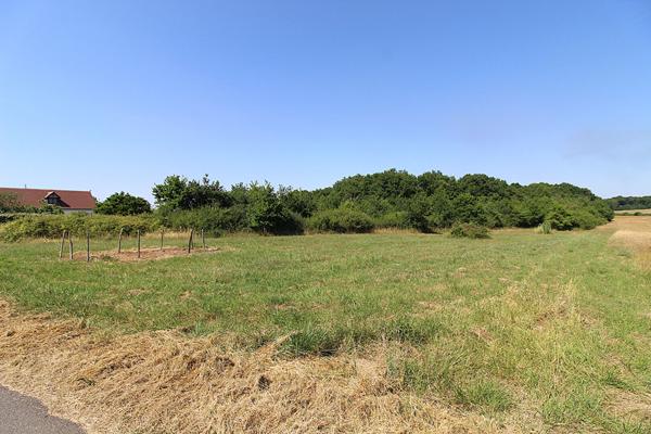 ONZAIN - 20 KM DE BLOIS - 20 KM D'AMBOISE