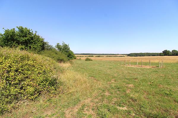 ONZAIN - 20 KM DE BLOIS - 20 KM D'AMBOISE