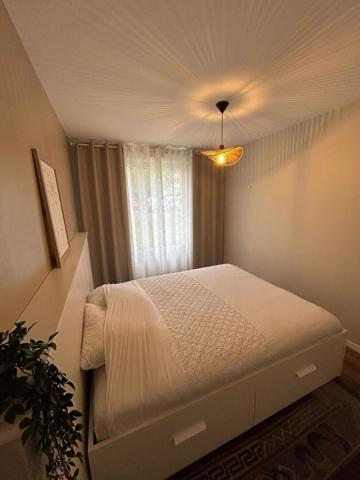 Amboise - 3 pièce(s) - 63.16 m2