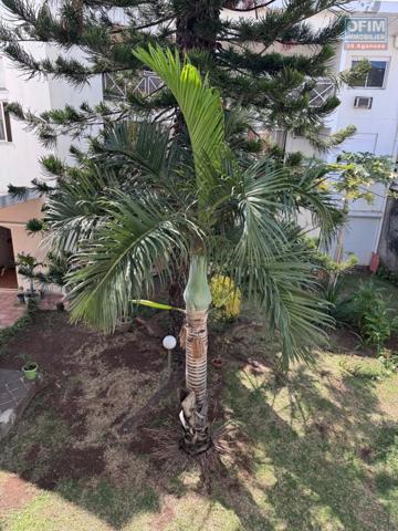 A louer un appartement de type F1 sur la résidence JULIETTE DODU à Saint Denis centre.