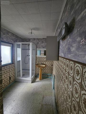 Maison à vendre à Lille dans le Nord (59800), ref : 59007-1911