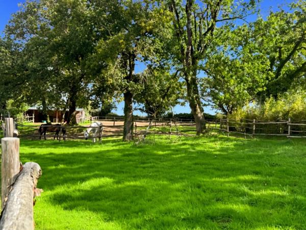 GUERANDE LONGERE RENOVEE - PROPRIETE EQUESTRE - BELLE DEMEURE A VENDRE 5 CHAMBRES - GRAND PARC CLOS