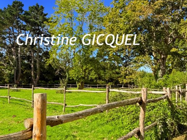 GUERANDE LONGERE RENOVEE - PROPRIETE EQUESTRE - BELLE DEMEURE A VENDRE 5 CHAMBRES - GRAND PARC CLOS