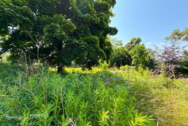 Maison de maître à Liverdun (2 à 3 logements – vue exceptionnelle) - 9 pièces pour 215 m2