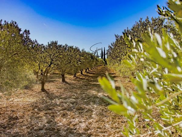 Maison 15 pièces - 700 m² Bien prestige