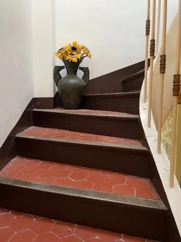 Maison en pierre + terrain constuctible et piscinable (865 m2)