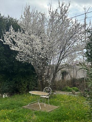 Maison en pierre + terrain constuctible et piscinable (865 m2)