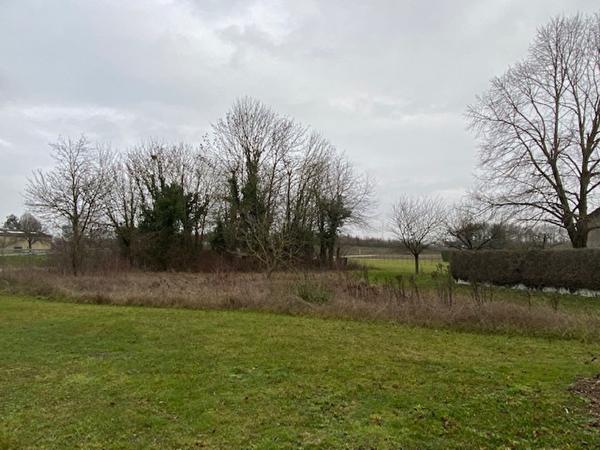 EXCLUSIVITE - Terrain FERE-CHAMPENOISE 1610 m2