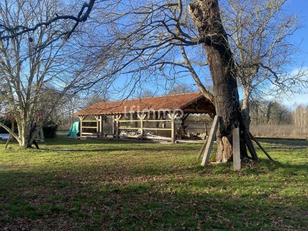 Maison landaise avec piscine, dépendance et terrain