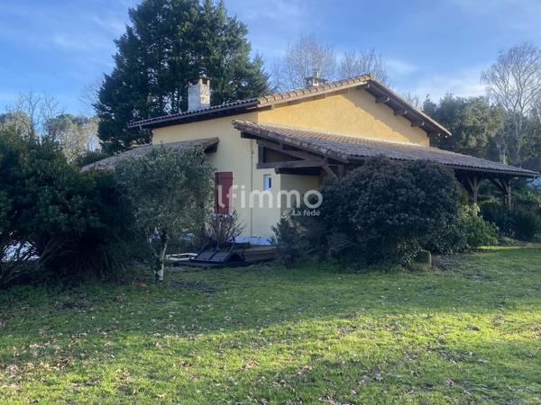Maison landaise avec piscine, dépendance et terrain