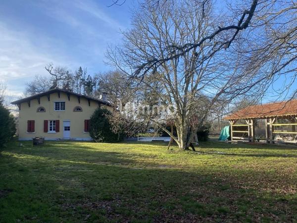 Maison landaise avec piscine, dépendance et terrain