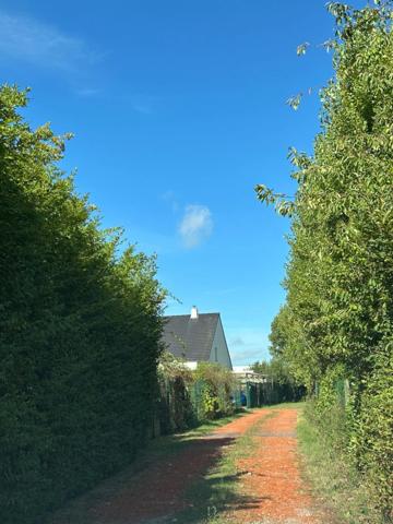 Maison à vendre 5 pièces 170m2 à LINSELLES (59)