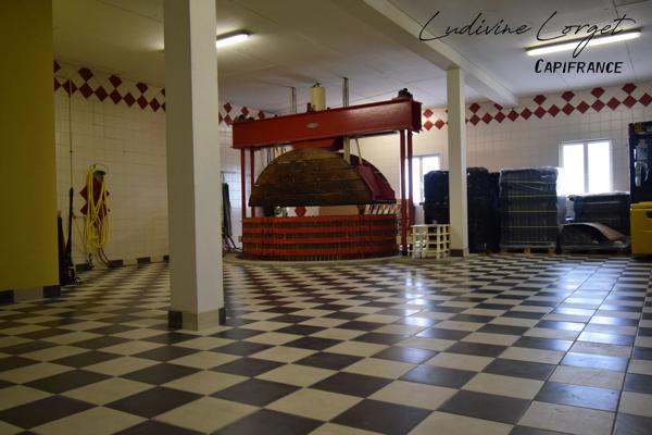 A vendre Local professionnel loué /bureau proche de EPERNAY (51)À vendre – Pressoir - cuverie -stockage -bureaux – 423m2